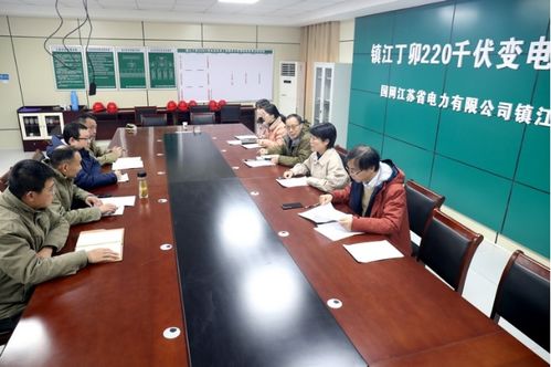 國網(wǎng)江蘇電力工程咨詢公司紀(jì)委 線上線下聯(lián)動織密防疫網(wǎng)，全力護航工程現(xiàn)場安全